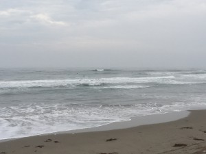 IMG_1664