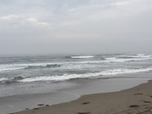 IMG_1666