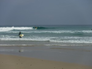 DSCF2046