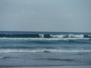 DSCF2050