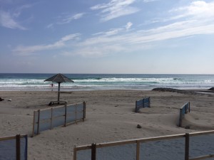 IMG_2040