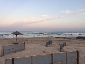 IMG_2042