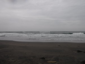 DSCF3144
