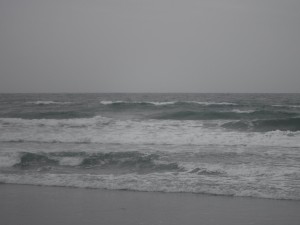 DSCF3145